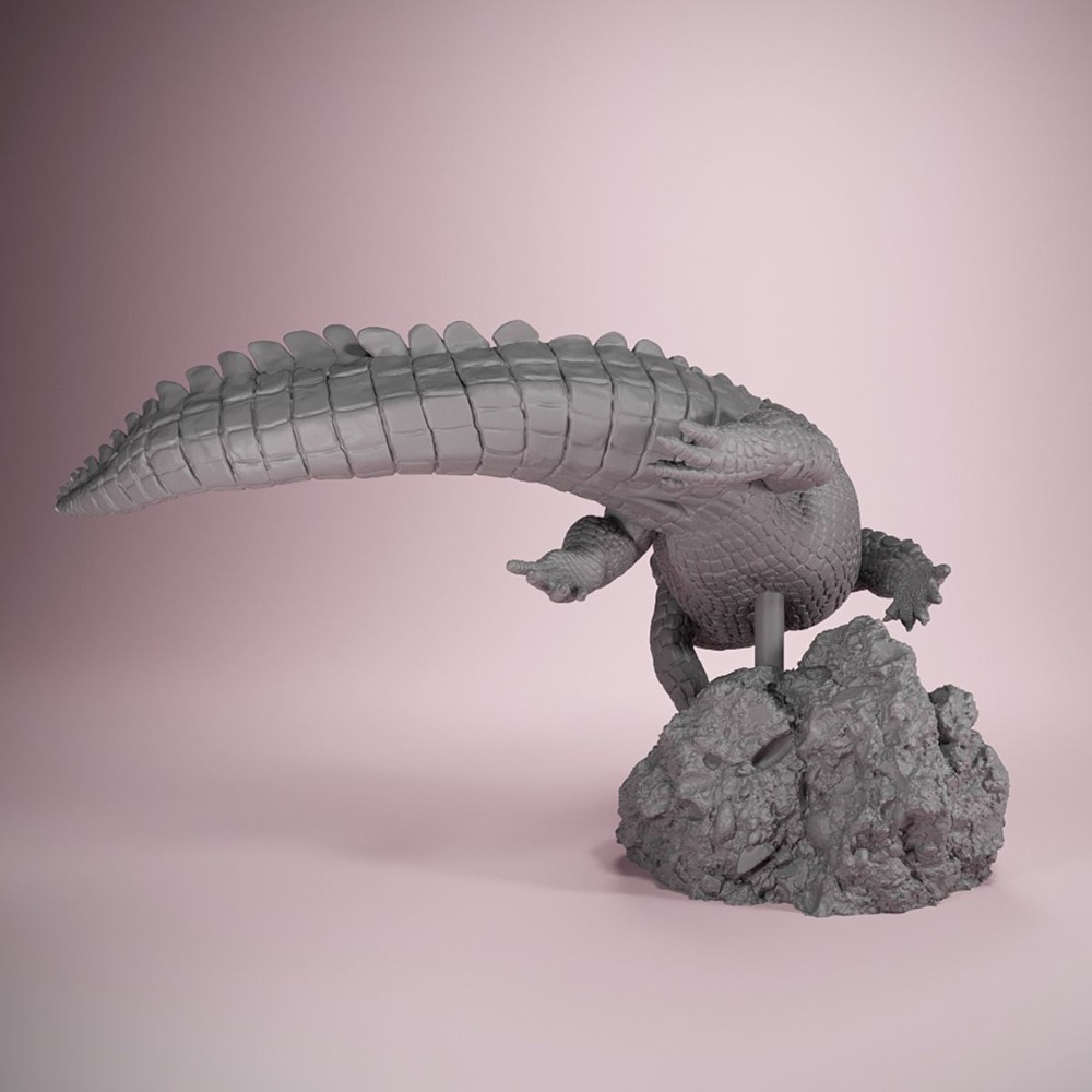 アメリカワニの泳ぎ姿勢 3D プリント装飾絵画ブランク置物ミ - 3D Printing Apps のレビューと価格